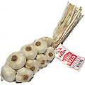 Casa Garlic Products