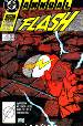 Flash Annual #2