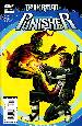 Punisher #5 (DKR) (Goblin Cover)