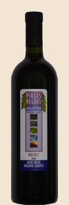 2007 <br>Malbec <br>Pircas Negras