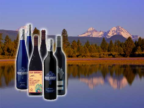 The Organic Wine Company