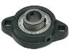 Bearing, FB 160 X 3/4", 2 Hole Mount, Setscrew Locking Relube