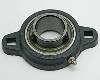 Bearing, FB 160 X 1-1/4", Short Base,  2 Square Hole Mount, Setscrew Locking Relube