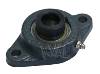 Bearing, FB 230 X 3/4", 2 Hole Mount, Eccentric Locking Collar Relube.