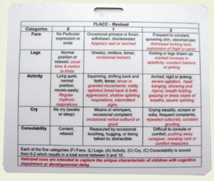Bieri Faces Pain Scale / FLACC for ID badge