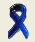 Blue Ribbon Pins (plastic) (100/pack)