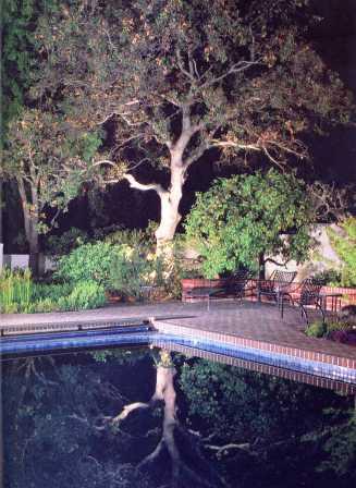 Led Landscape Lighting Led Landscape Lighting