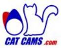 Cat Cams - VAC BMW M88 & S38 Camshaft Sets for M635 M535 M5 M6 M1