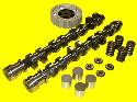 Cat Cams - (20V) 4AG Performance & Racing Cams