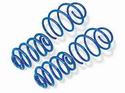 E46 M3 Racing Dynamics Spring Kit
