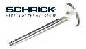 Schrick - S50B32 Euro (Dual VANOS) Valve Kit (24) 6mm Valve Stem