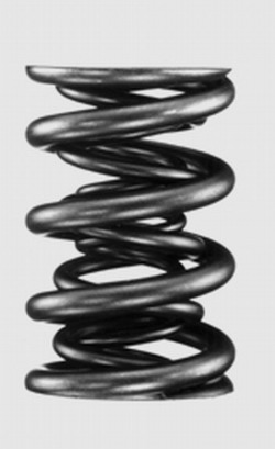 VAC - S50b30 Euro High Performance Valve Springs (24 pcs)