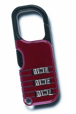 Backpack Locks